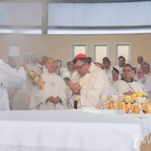 Svätá omša, kotrú celebroval kardinál Vinko Pulič. Mladifest, Medžugorie 04.08.2019