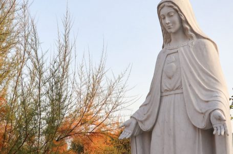 Mária – cesta nádeje (Terézia Gažiová)