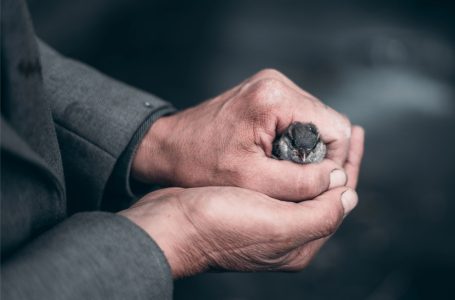 Satan vás chce spútať povrazom nepokoja a nenávisti (Páter Ljubo Kurtovič, OFM)